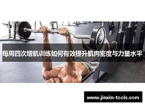 每周四次增肌训练如何有效提升肌肉密度与力量水平