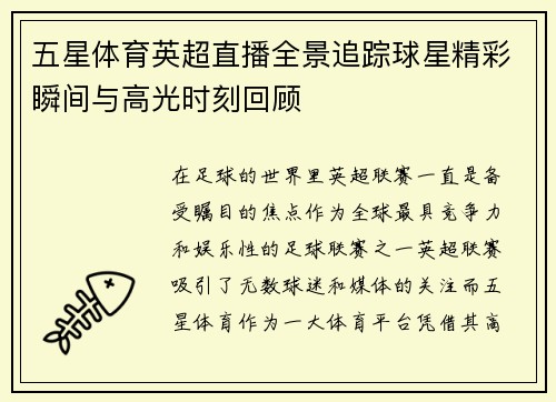 五星体育英超直播全景追踪球星精彩瞬间与高光时刻回顾