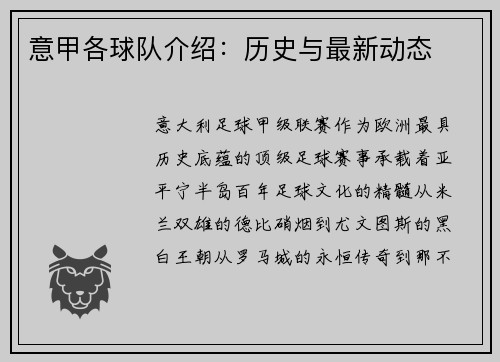 意甲各球队介绍：历史与最新动态